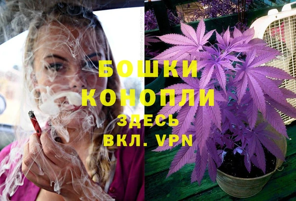 ГАЛЛЮЦИНОГЕННЫЕ ГРИБЫ Лиски